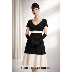 Carolina Herrera Bicolor A-Line Virgin Wool Dress Size: L | US 10